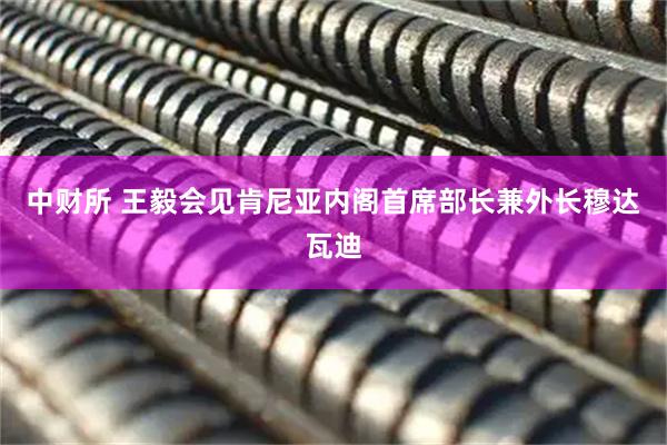 中财所 王毅会见肯尼亚内阁首席部长兼外长穆达瓦迪
