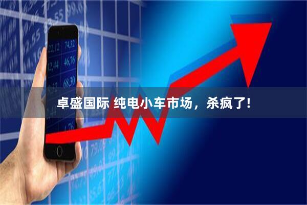 卓盛国际 纯电小车市场,杀疯了!