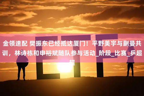 金领速配 樊振东已经抵达厦门！平野美宇与蒯曼共训，林诗栋和申裕斌随队参与活动_阶段_比赛_乒超